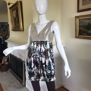 The Penniless Fashionista Silk Mini Dress